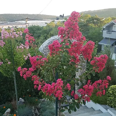 Apartman I Majoli *