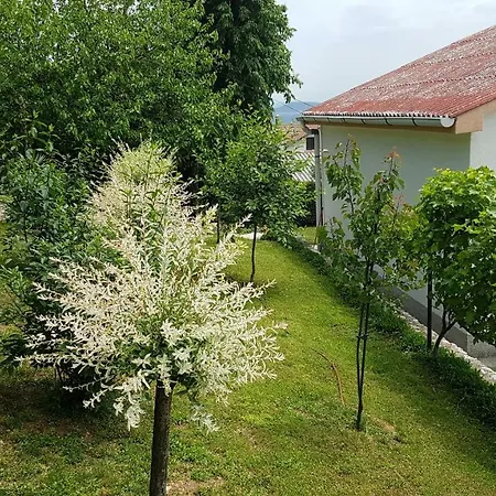 I Majoli Kukuljanovo